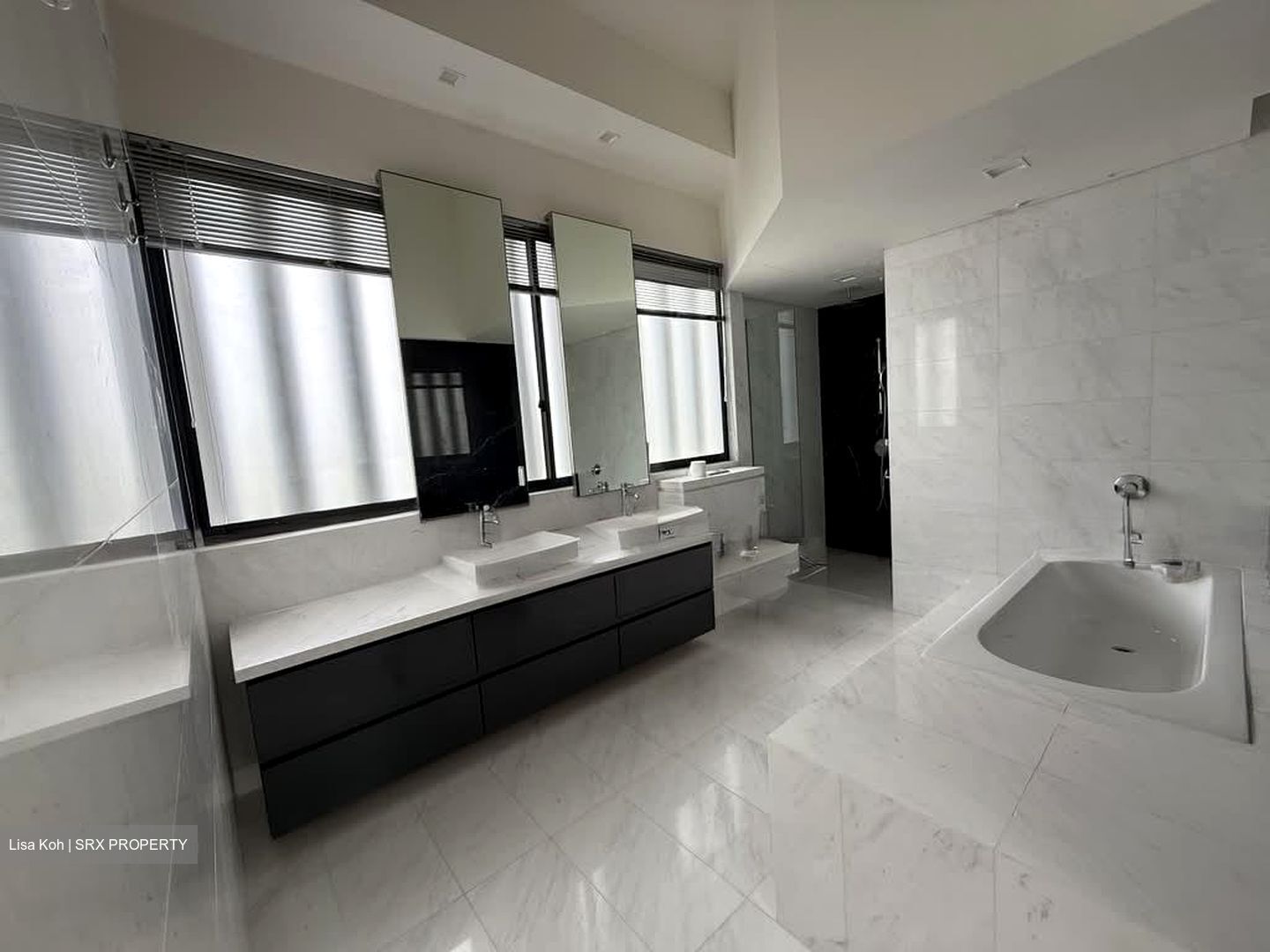 Charlton Park (D19), Condominium #557242671